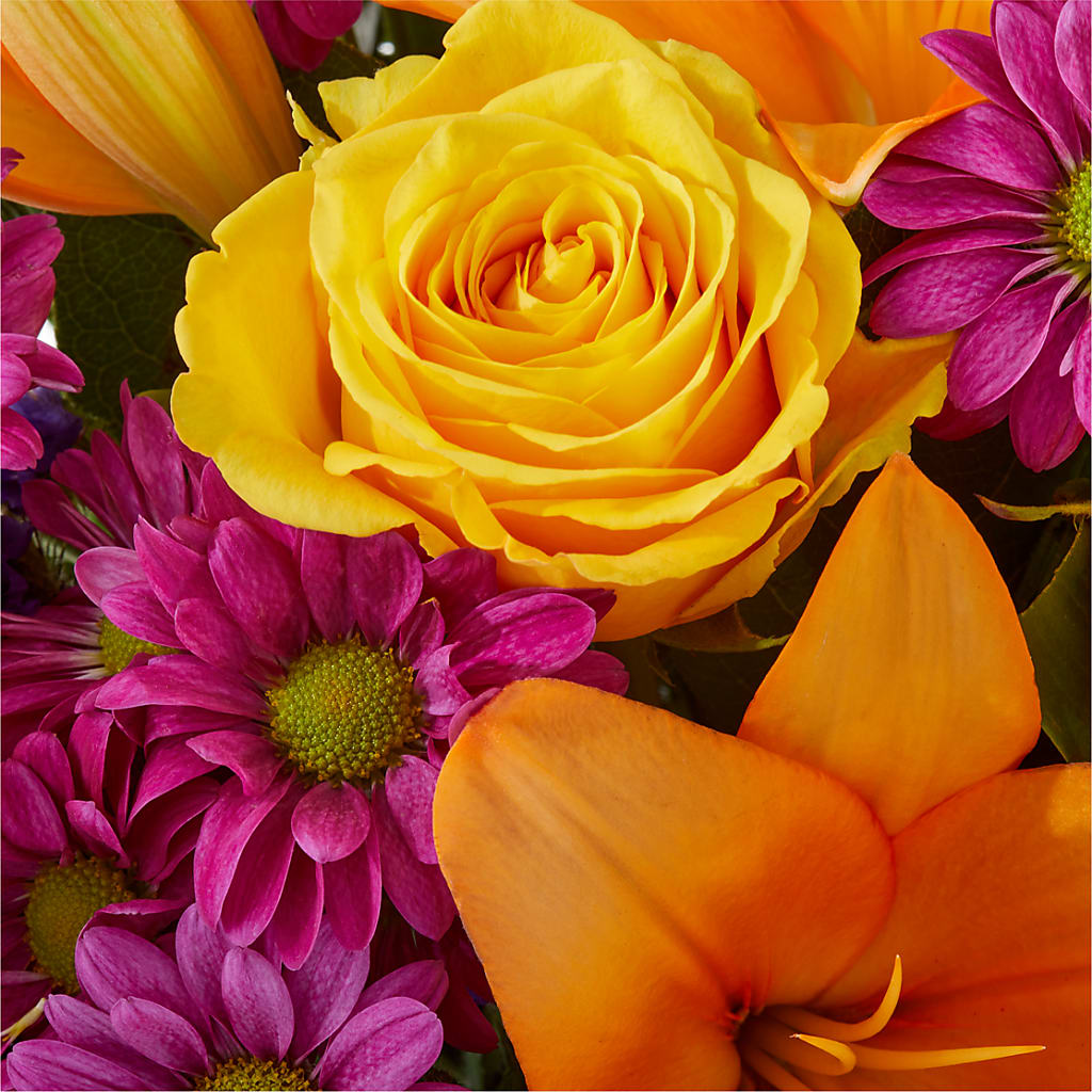 Colorful Visions Bouquet – HELEN'S FLORAL SHOPPE, Phillipsburg NJ