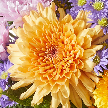 Countryside Bouquet – HELEN'S FLORAL SHOPPE, Phillipsburg NJ