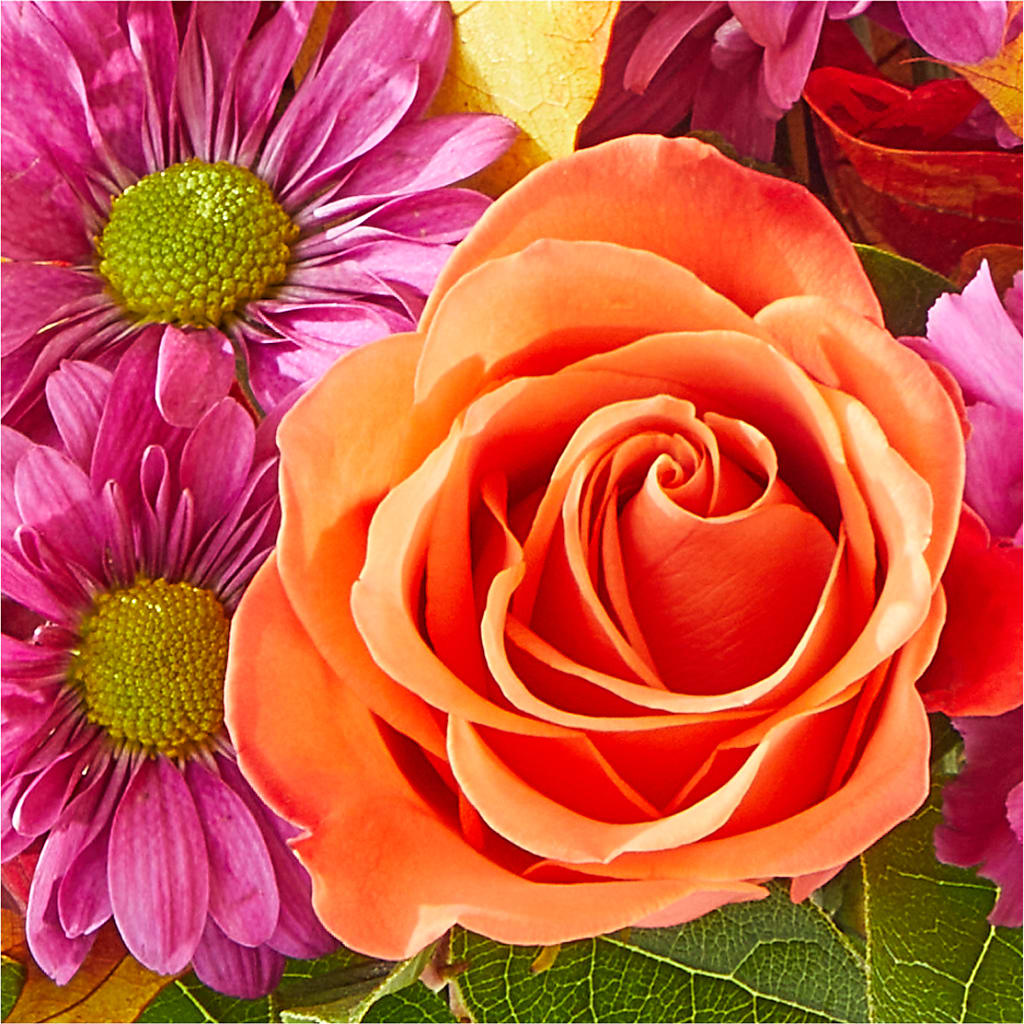 Mum's the Word Bouquet – HELEN'S FLORAL SHOPPE, Phillipsburg NJ
