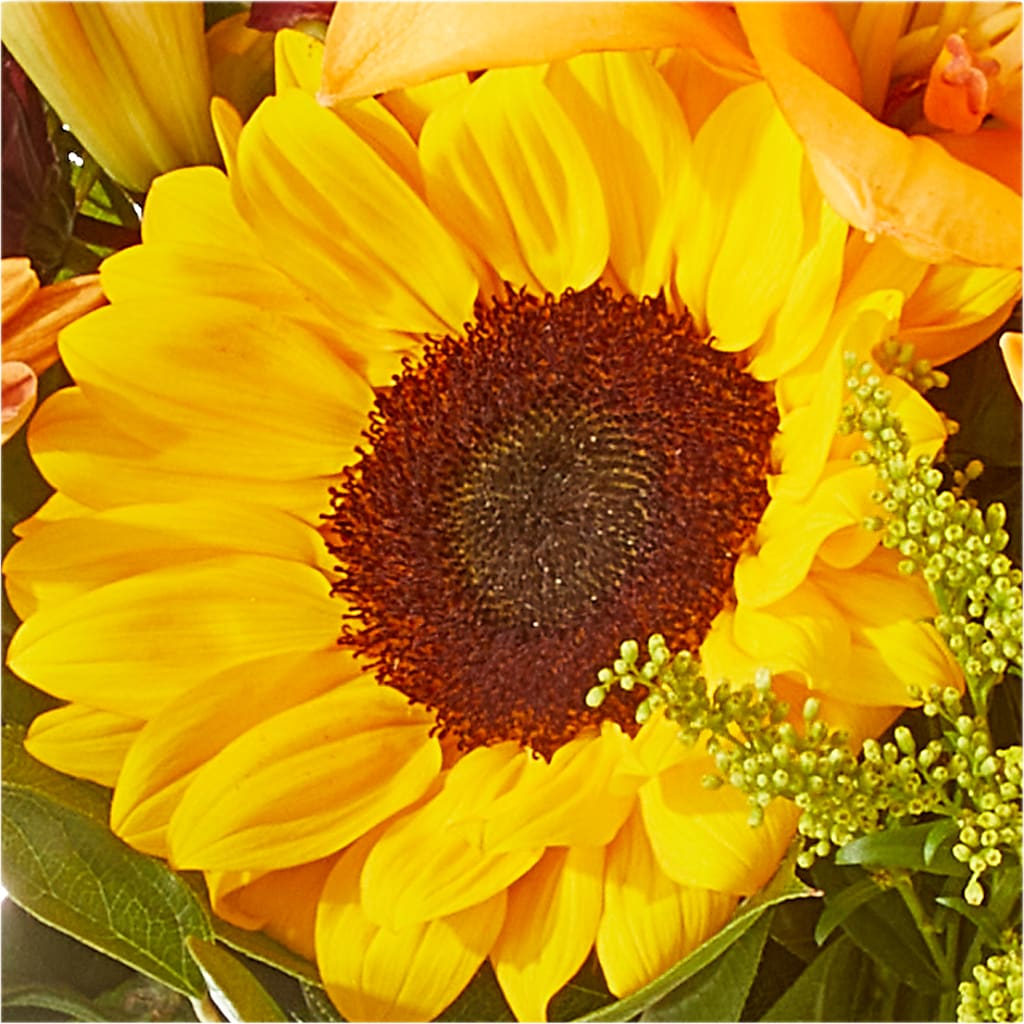 Seasons Change Bouquet – HELEN'S FLORAL SHOPPE, Phillipsburg NJ