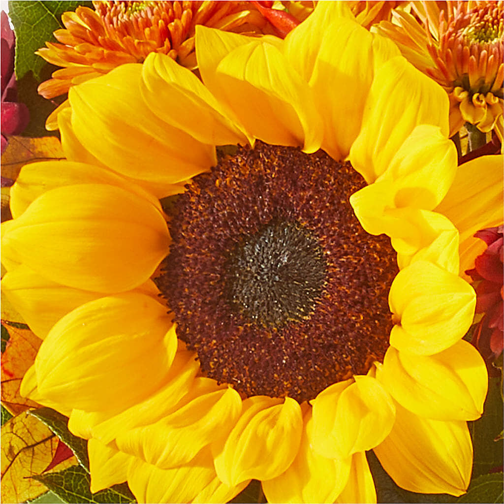 Sunny Side Bouquet – HELEN'S FLORAL SHOPPE, Phillipsburg NJ