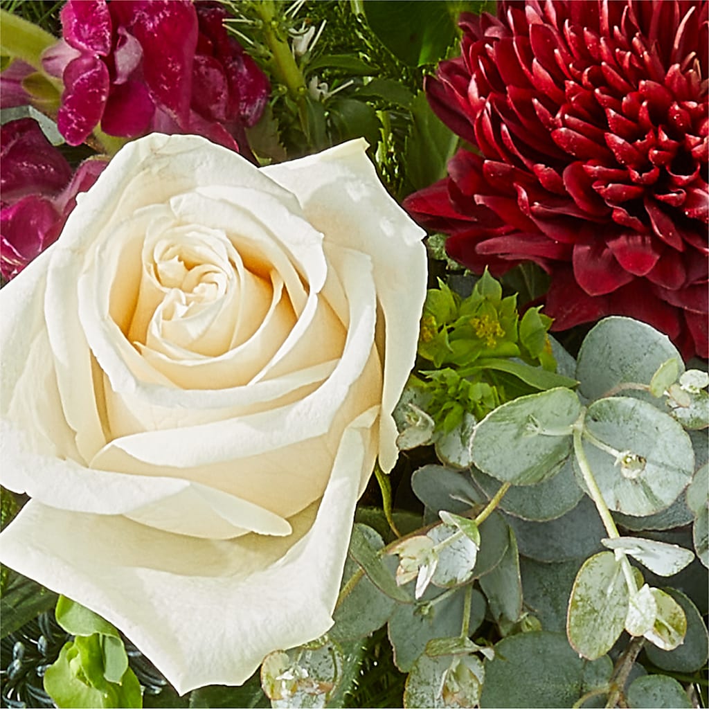 Cranberry Fizz Bouquet – HELEN'S FLORAL SHOPPE, Phillipsburg NJ