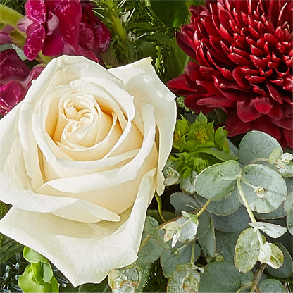 Cranberry Fizz Bouquet – HELEN'S FLORAL SHOPPE, Phillipsburg NJ