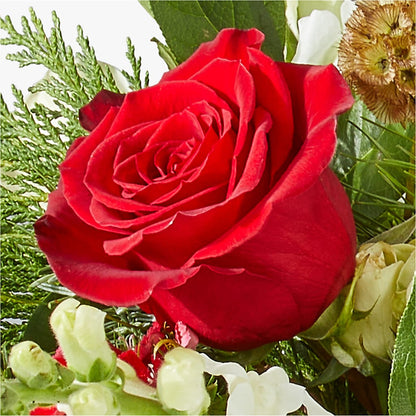 Deck the Halls Bouquet – HELEN'S FLORAL SHOPPE, Phillipsburg NJ