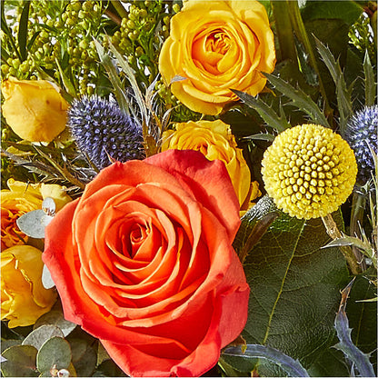 Disco Bouquet – HELEN'S FLORAL SHOPPE, Phillipsburg NJ