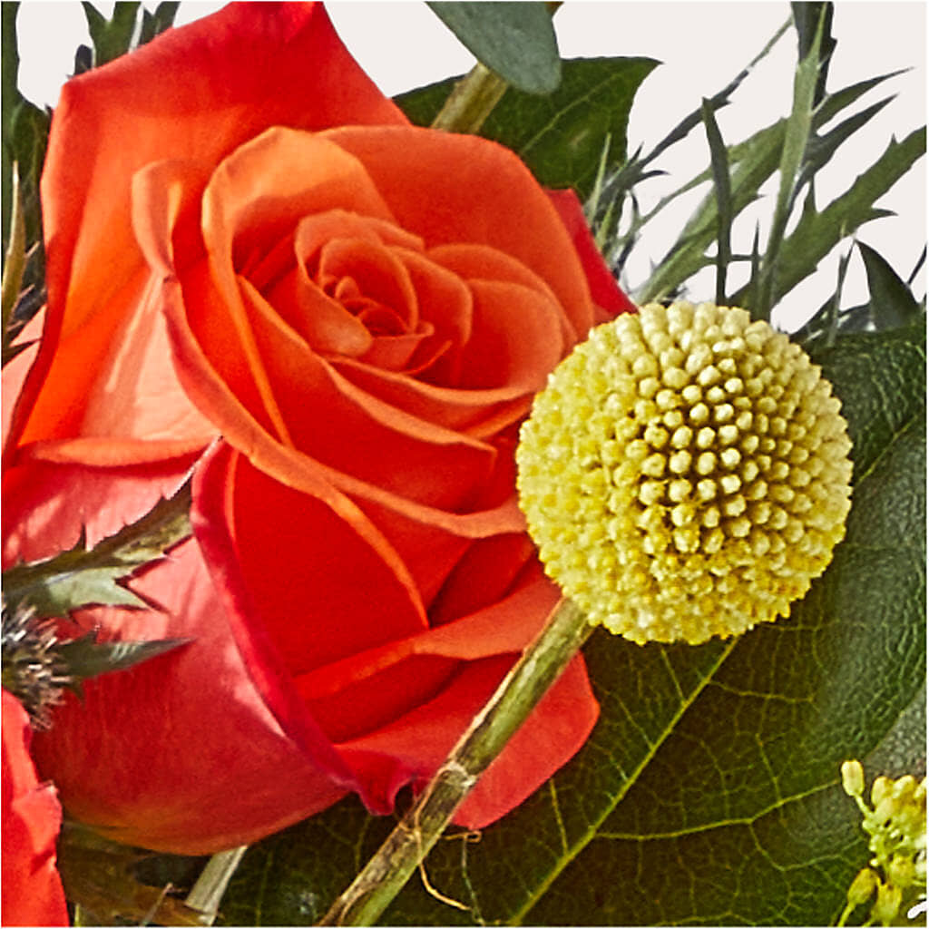 Disco Bouquet – HELEN'S FLORAL SHOPPE, Phillipsburg NJ