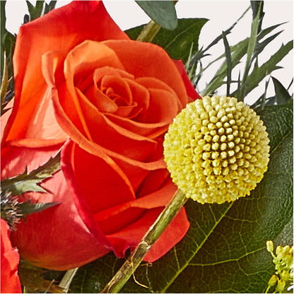 Disco Bouquet – HELEN'S FLORAL SHOPPE, Phillipsburg NJ