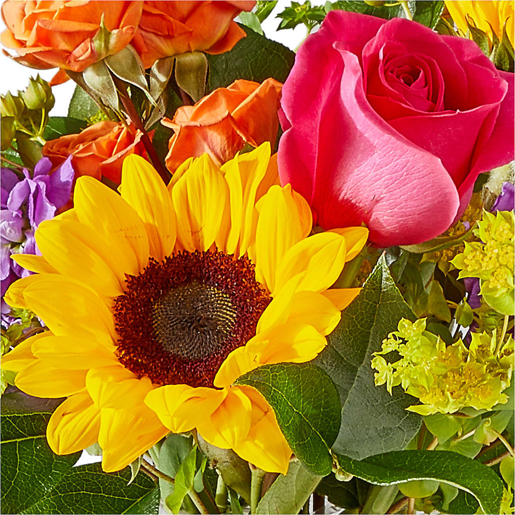 Vibrant Greetings Bouquet – HELEN'S FLORAL SHOPPE, Phillipsburg NJ