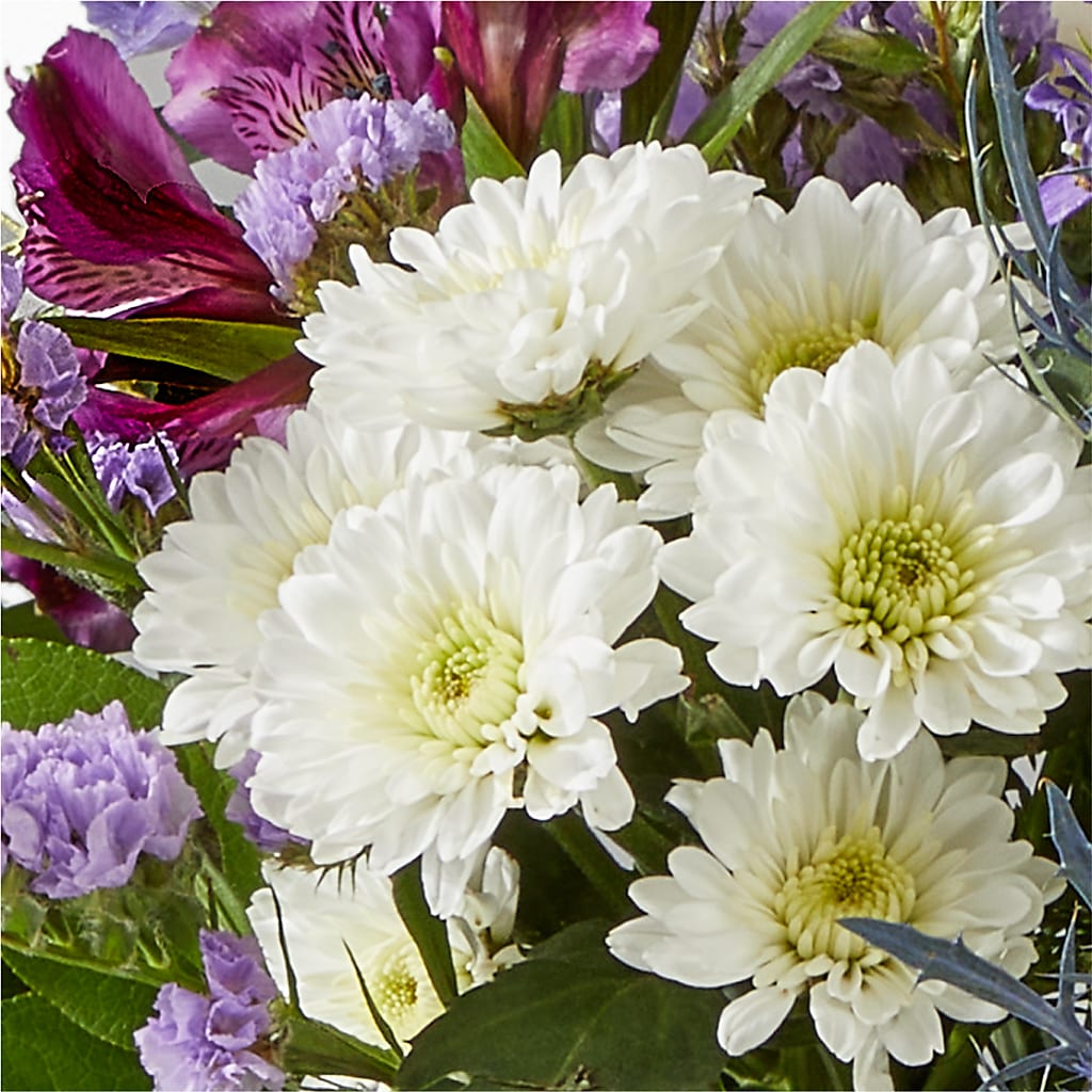 Shooting Star Bouquet – HELEN'S FLORAL SHOPPE, Phillipsburg NJ