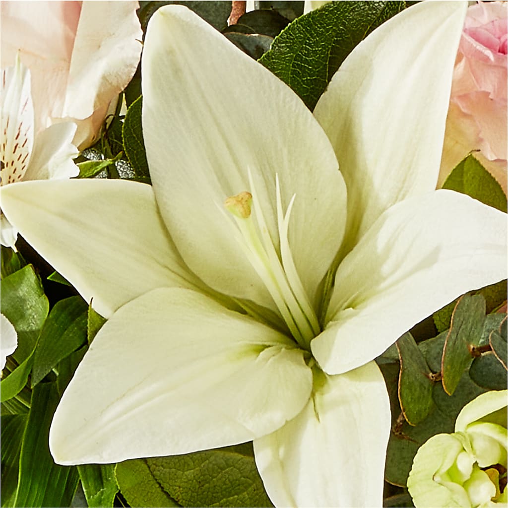 Ballet Slippers Bouquet – HELEN'S FLORAL SHOPPE, Phillipsburg NJ