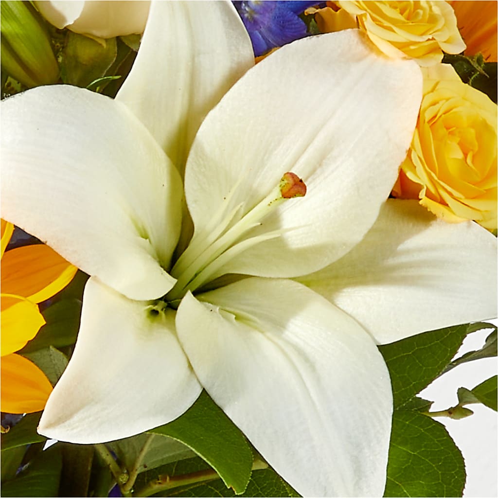 Wonderfully Sunny Bouquet – HELEN'S FLORAL SHOPPE, Phillipsburg NJ
