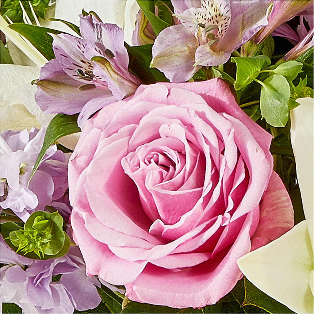 Daydreamer Bouquet – HELEN'S FLORAL SHOPPE, Phillipsburg NJ