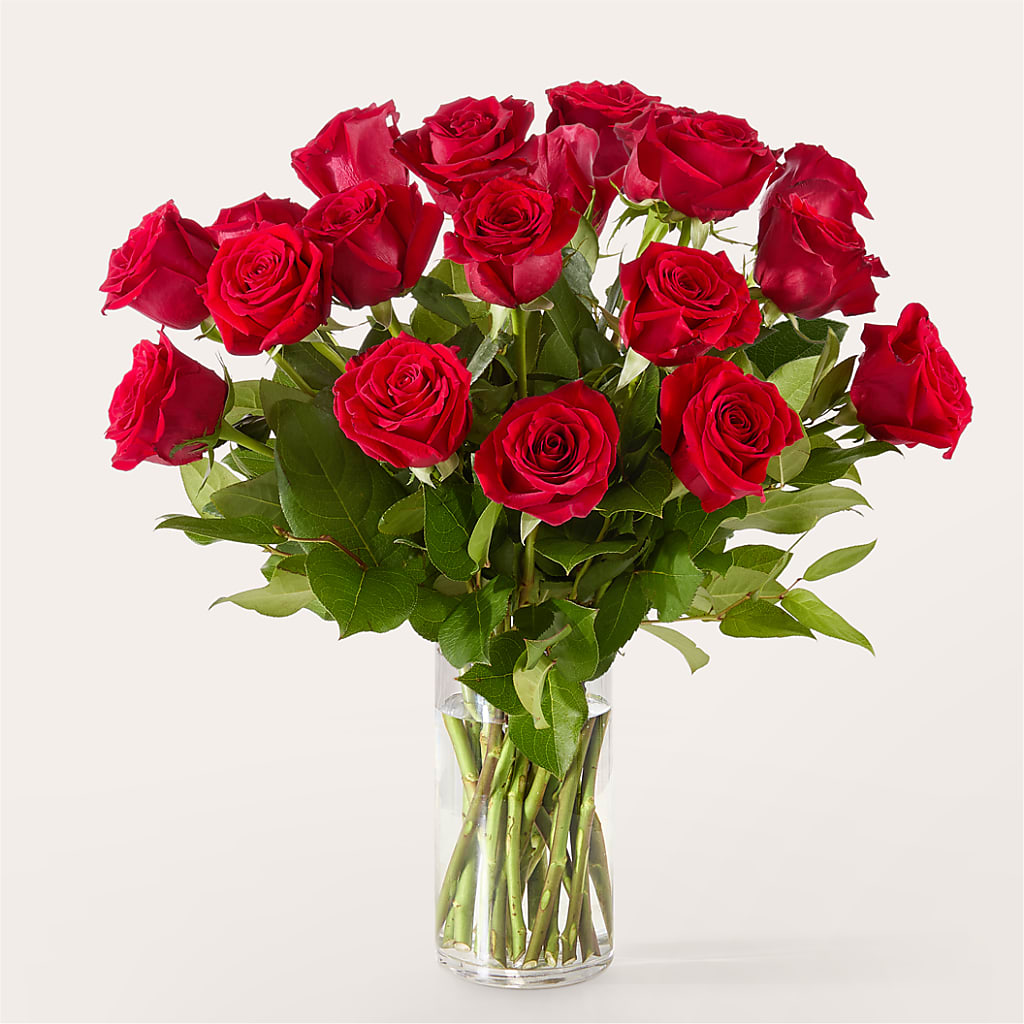 The One Red Rose Bouquet – HELEN'S FLORAL SHOPPE, Phillipsburg NJ