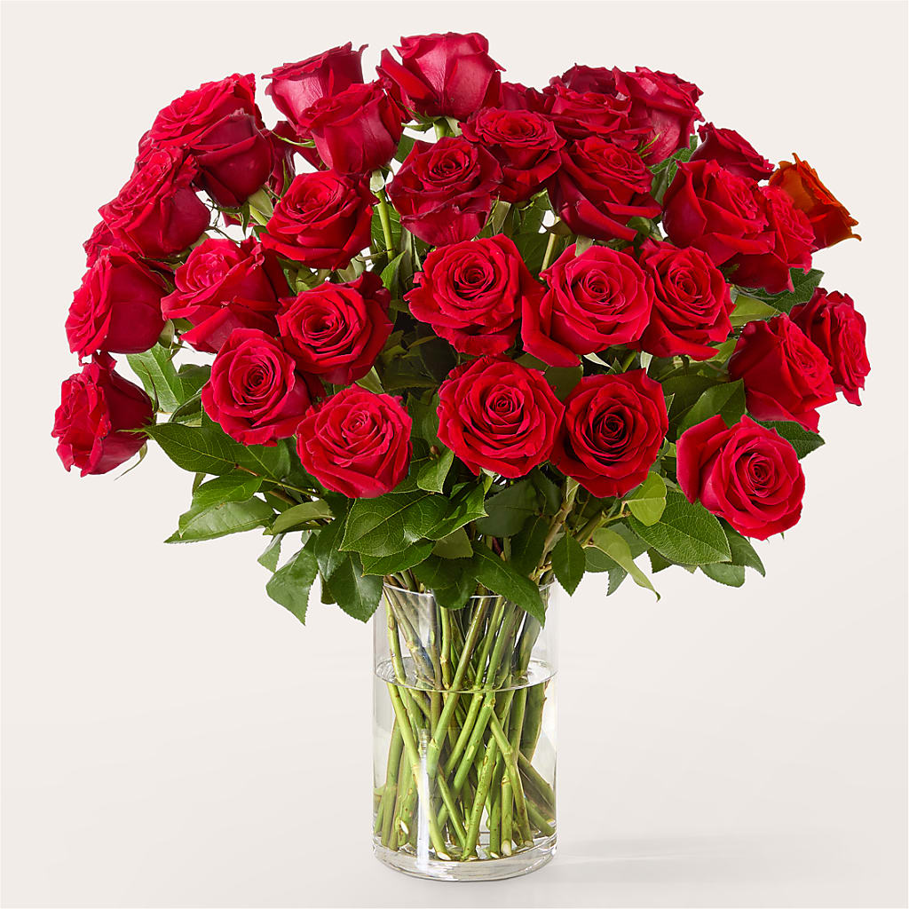 The One Red Rose Bouquet – HELEN'S FLORAL SHOPPE, Phillipsburg NJ