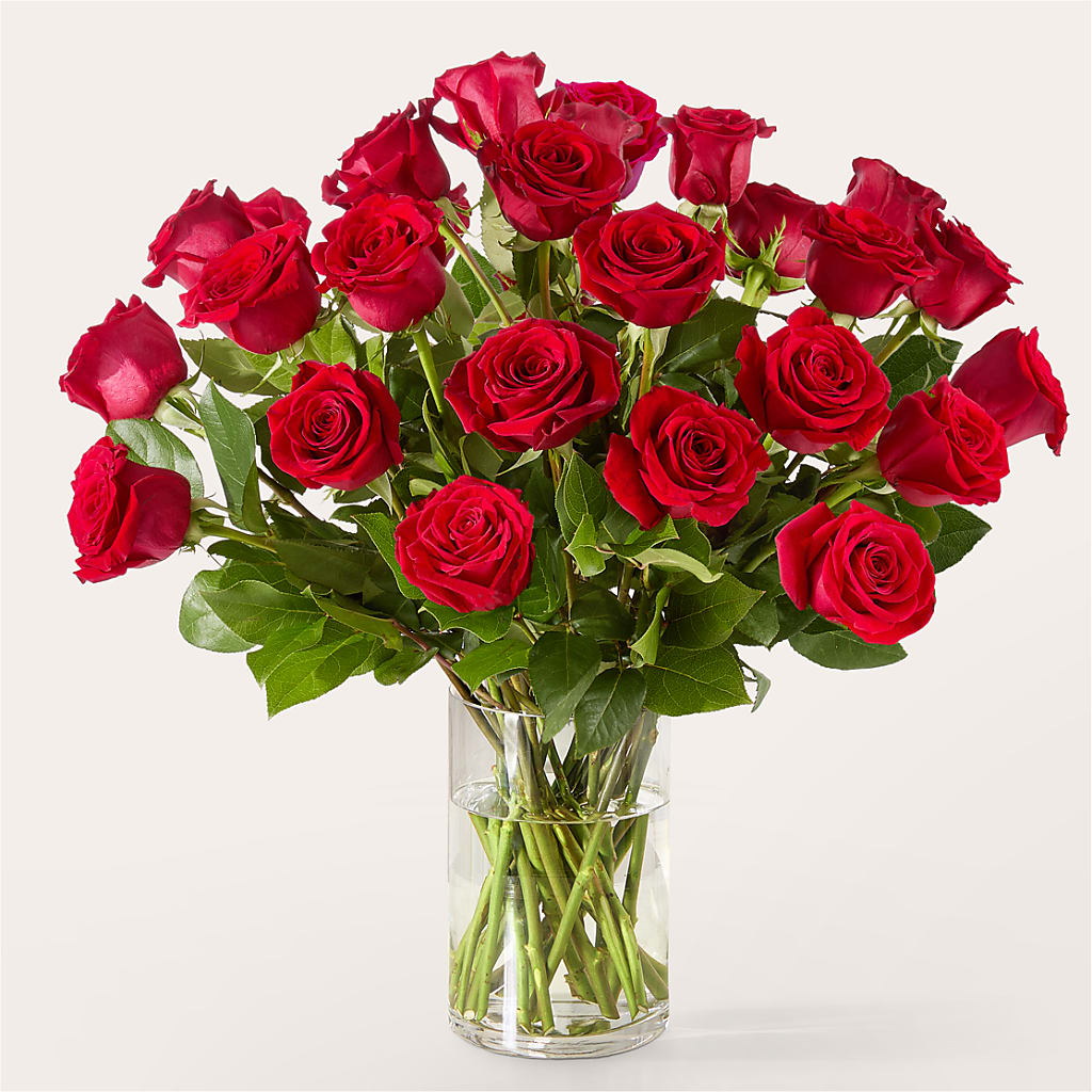 The One Red Rose Bouquet – HELEN'S FLORAL SHOPPE, Phillipsburg NJ