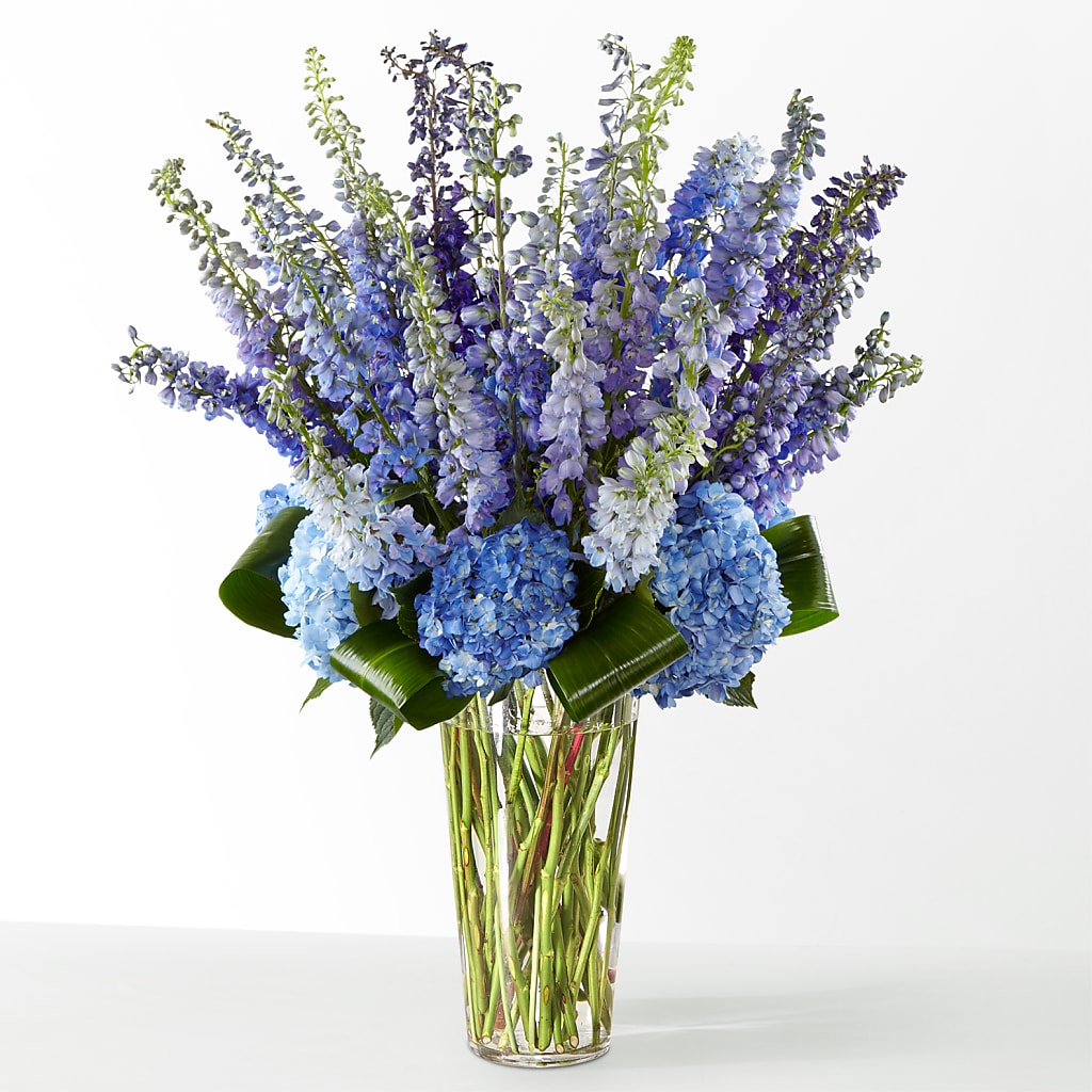The Editorial – HELEN'S FLORAL SHOPPE, Phillipsburg NJ