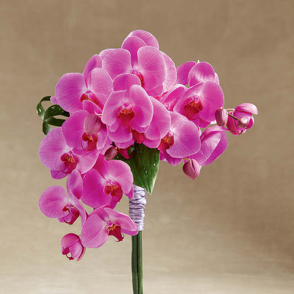 Glorious Bouquet – HELEN'S FLORAL SHOPPE, Phillipsburg NJ