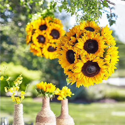 Sublime Garden Hanging Arrangement – HELEN'S FLORAL SHOPPE, Phillipsburg NJ