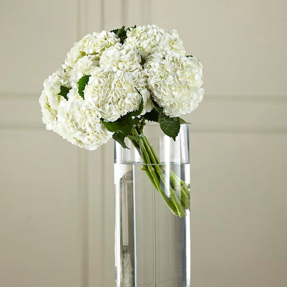 White Hydrangea Hand-Tied Bouquet – HELEN'S FLORAL SHOPPE, Phillipsburg NJ