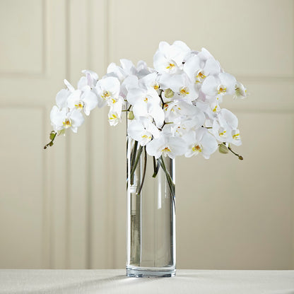 White Phalaenopsis Bouquet – HELEN'S FLORAL SHOPPE, Phillipsburg NJ
