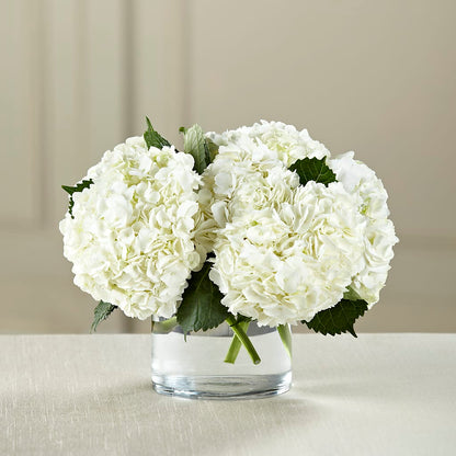 White Hydrangea Bouquet – HELEN'S FLORAL SHOPPE, Phillipsburg NJ